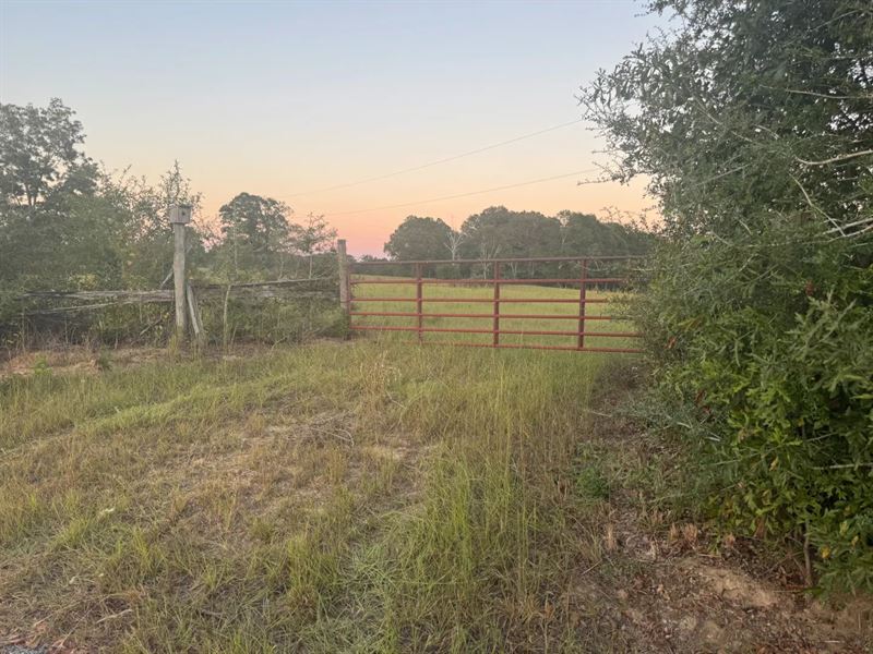 15 Acres in Lamar County, MS : Sumrall : Lamar County : Mississippi