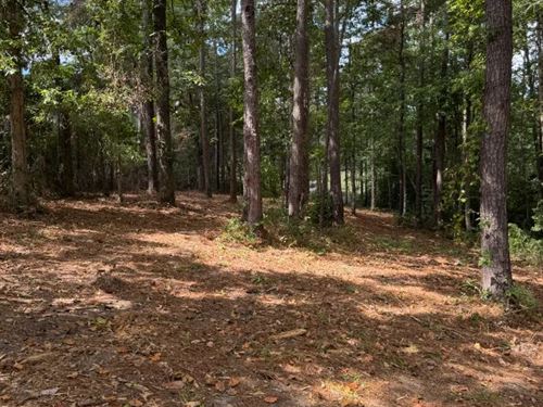 1.3 Acre Lot in Lamar County, MS : Hattiesburg : Lamar County : Mississippi