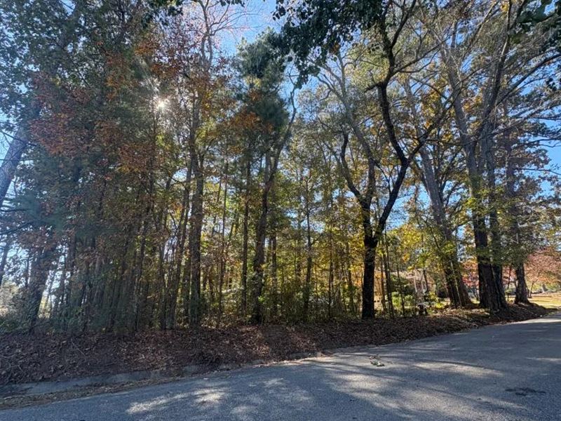 .42 Acre Corner Lot in Jefferson : Pinson : Jefferson County : Alabama