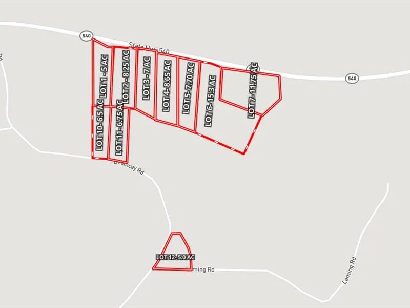 11.75 Acres Lot 7 in Simpson Coun : Braxton : Simpson County : Mississippi