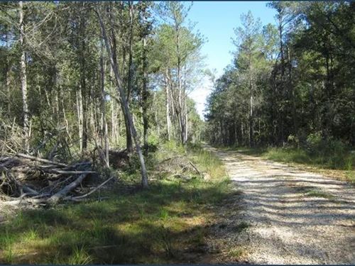 3.02 Acre Lot in Jefferson Davis Co : Oak Vale : Jefferson Davis County : Mississippi