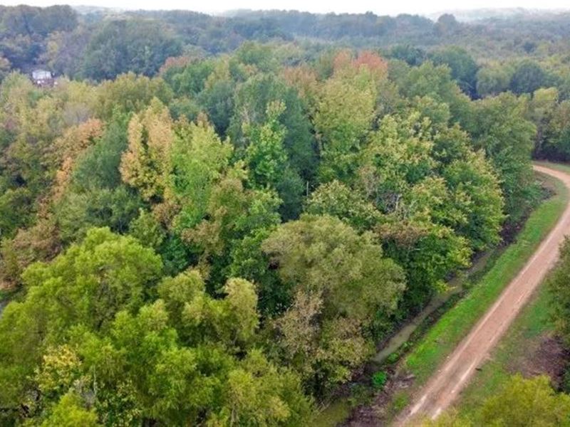 6.09 Acres in Quitman County in Mar : Marks : Quitman County : Mississippi