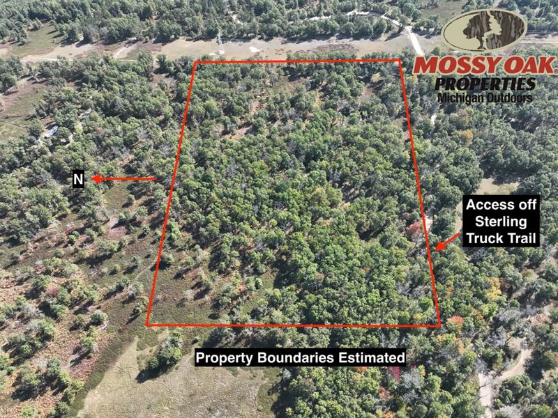 15 Acres Sterling Mi, Arenac Cou : Sterling : Arenac County : Michigan