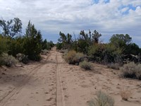 Amazing Property in St Johns, AZ : Saint Johns : Apache County : Arizona