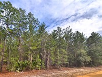 Residential Lot in a Peaceful Area : Interlachen : Putnam County : Florida
