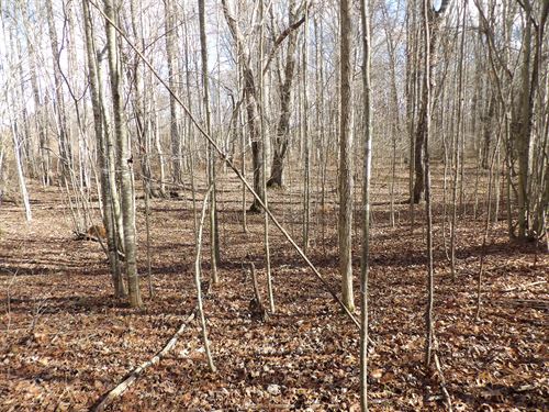 Creek, Level, Paved Road Frontage : Evansville : Bledsoe County : Tennessee