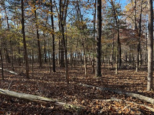 Wooded Lot with Lake View : Theodosia : Ozark County : Missouri