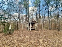 Blueberry Ridge : Verbena : Chilton County : Alabama