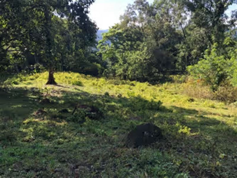 Beautiful Property in Santa Teresit : Turrialba : Costa Rica