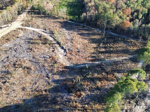 5 Acres Unrestricted Russell Co : Pittsview : Russell County : Alabama