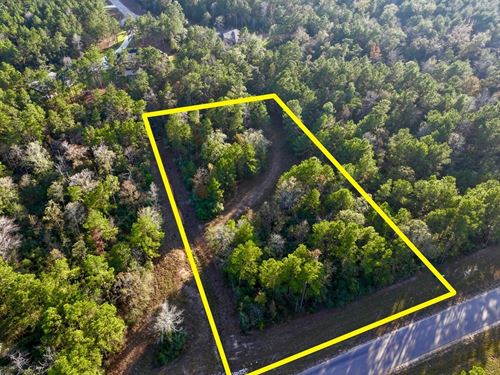 2 Acres, Ruger Road, Republic Gra : Willis : Montgomery County : Texas