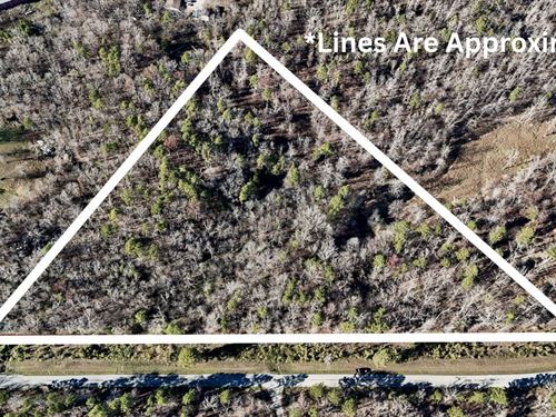 8 Wooded Acres For Sale in Carte : Grandin : Carter County : Missouri