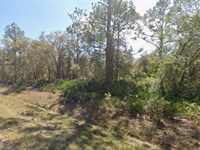Finance Lot Only $250/Mo Near Lake : Georgetown : Putnam County : Florida
