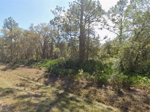 Finance Lot Only $250/Mo Near Lake : Georgetown : Putnam County : Florida
