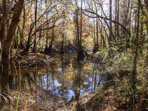 Lotts Creek Tract 3 : Statesboro : Bulloch County : Georgia