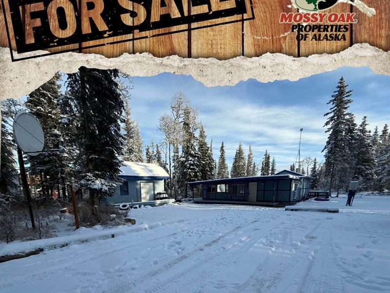 33650 N Scotch Run Street : Soldotna : Kenai Peninsula Borough : Alaska