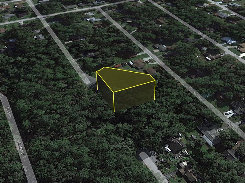 Lowest Ever, Black Friday $199 Down : Inverness : Citrus County : Florida