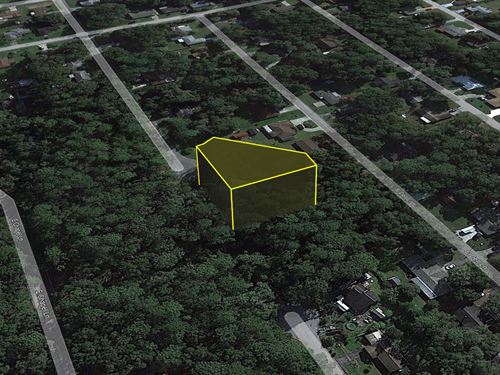 Lowest Ever, Black Friday $199 Down : Inverness : Citrus County : Florida