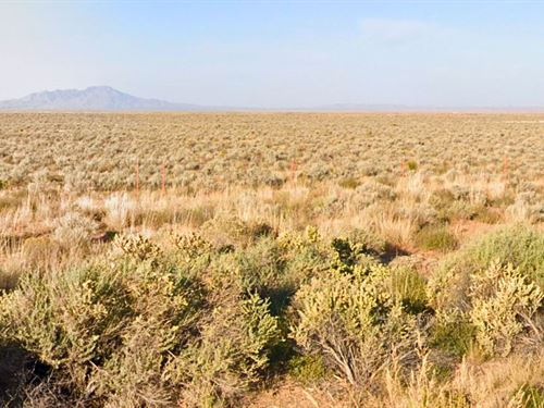 Affordable Lot in a Remote Setting : Belen : Valencia County : New Mexico