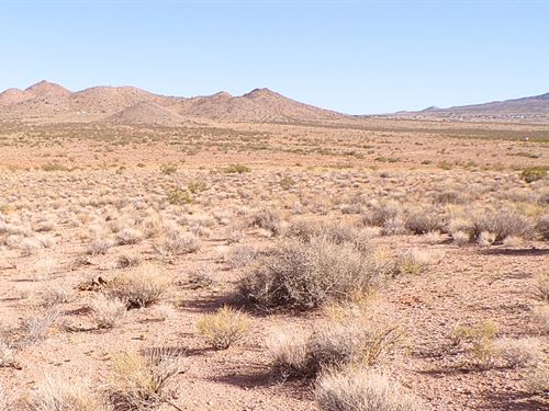 AZ Dirt, Out Millionaire Money : Valle Vista : Mohave County : Arizona