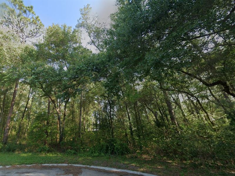 Black Friday $199 Down, Act Fast : Inverness : Citrus County : Florida