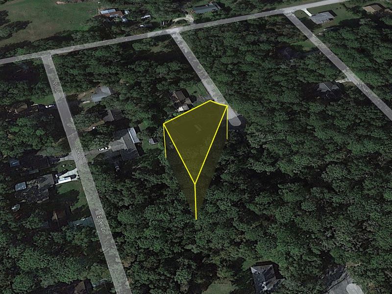 Black Friday Savings, $199 Down : Inverness : Citrus County : Florida