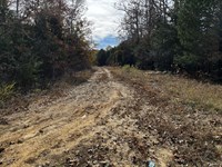 Horseshoe Bend Wooded Lot : Horseshoe Bend : Izard County : Arkansas