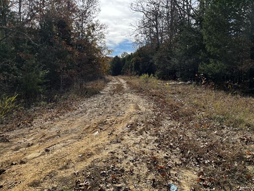 Horseshoe Bend Wooded Lot : Horseshoe Bend : Izard County : Arkansas