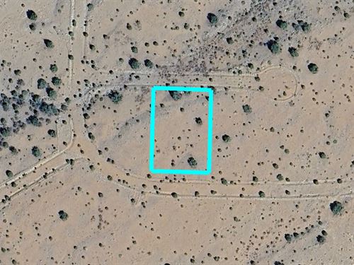 Mountain Trails Await You : Belen : Valencia County : New Mexico