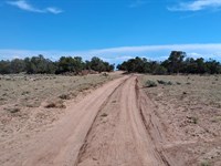 Your Perfect Off-Grid Homestead : Sanders : Apache County : Arizona