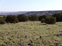 Canvas for Arizona Mountain Living : Concho : Apache County : Arizona