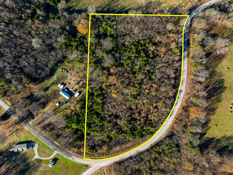 6.28 Wooded Acres, Independence : Locust Grove : Independence County : Arkansas