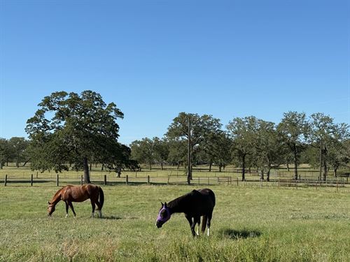 4.8 Scenic Acres : Stockdale : Wilson County : Texas