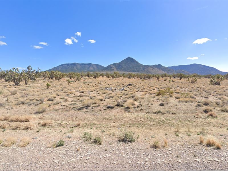 1.25 AC with Breathtaking View : Meadview : Mohave County : Arizona