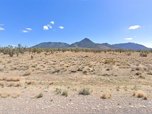 1.25 AC with Breathtaking View : Meadview : Mohave County : Arizona