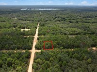 Build Your Florida Dream $199/Mo : Interlachen : Putnam County : Florida