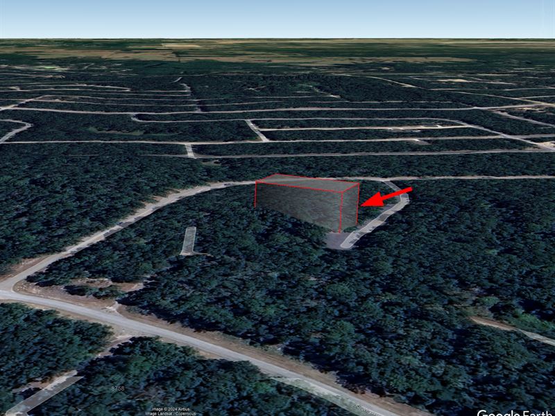 Citrus County Wooded Lot $400/Mo : Dunnelon : Citrus County : Florida