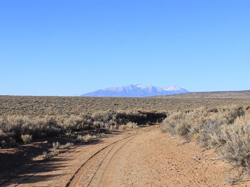 Adventure Hub for 4X4 Nut : San Luis : Costilla County : Colorado