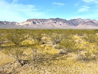 Desert Oasis to Build & Park an RVs : Kingman : Mohave County : Arizona