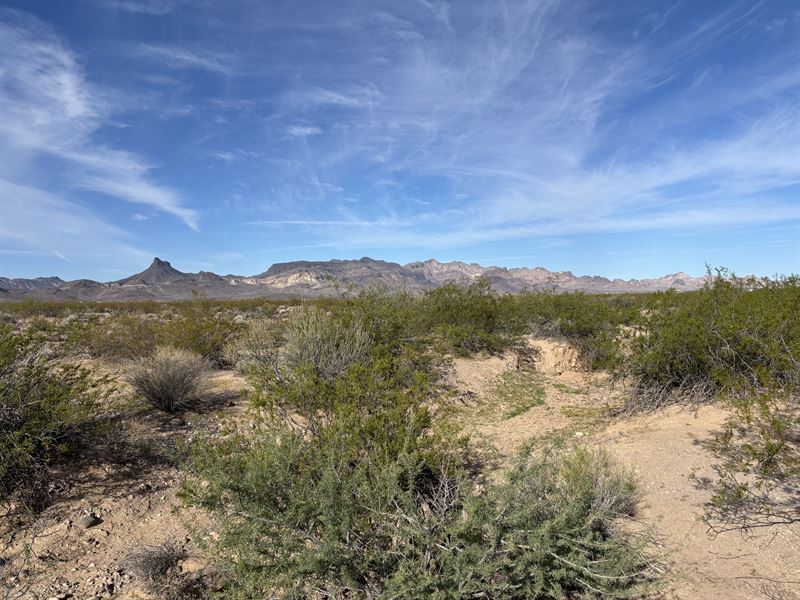 Off-Road Adventures for Exploration : Kingman : Mohave County : Arizona