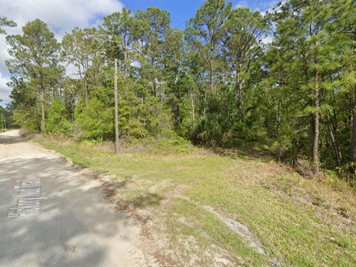 Nice Lot in Putnam County for Tiny : Satsuma : Putnam County : Florida