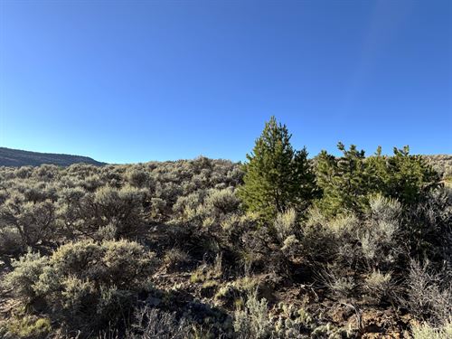 Er-Zoned Land with Camping Allowed : San Luis : Costilla County : Colorado