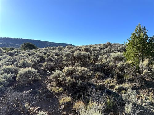 Er-Zoned Land with Camping Allowed : San Luis : Costilla County : Colorado