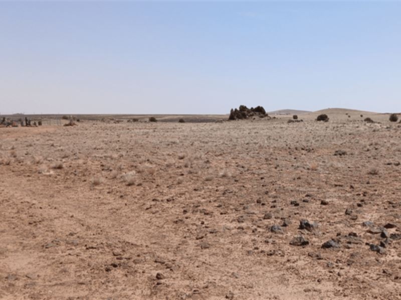 Black Friday Deal 3 Acres AZ Land : Concho : Apache County : Arizona