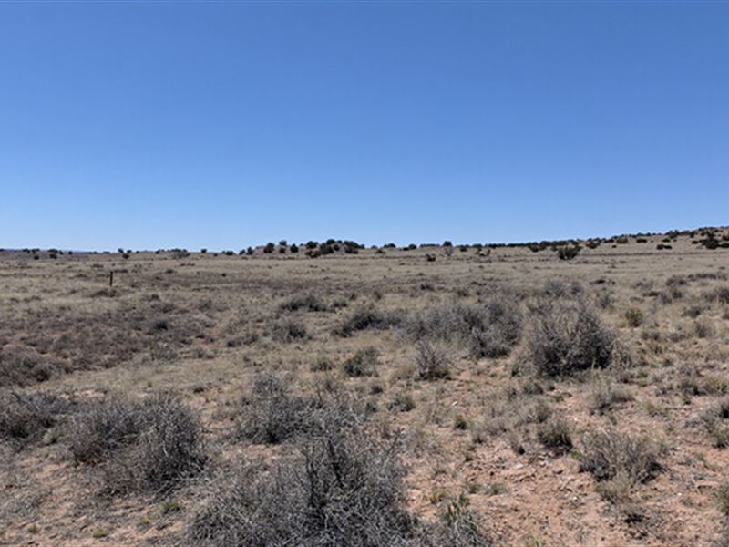 Peace, Tranquility, Freedom : Sanders : Apache County : Arizona