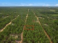 Two Lots One Price Near Lakes $399 : Interlachen : Putnam County : Florida