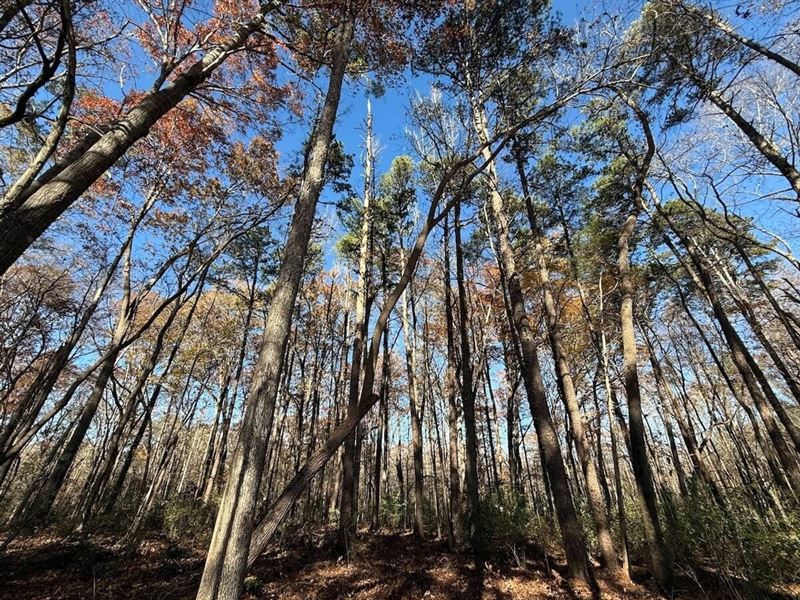 8.33 Acres of Residential and Recre : Pittsboro : Chatham County : North Carolina