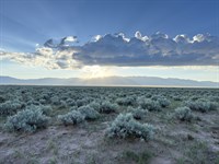 Your Own Desert Paradise : Los Lunas : Valencia County : New Mexico