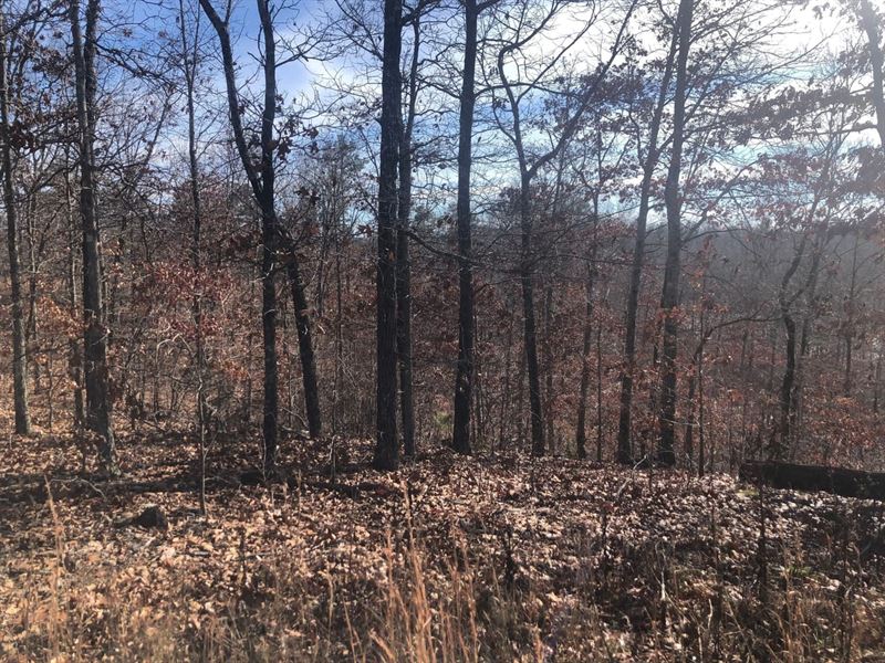 4 AC with a Summer Cabin for Sal : Jadwin : Dent County : Missouri