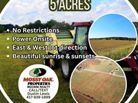 Peaceful Five Acres : Dunnegan : Polk County : Missouri